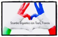 scambioling  (5)